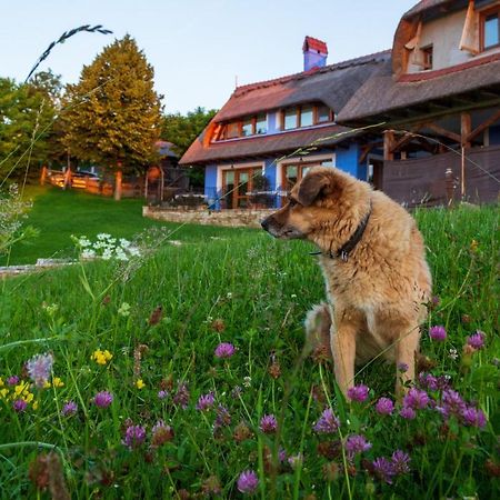 Casele Cu Stuf B&B Haus Ulrike Salicea Экстерьер фото