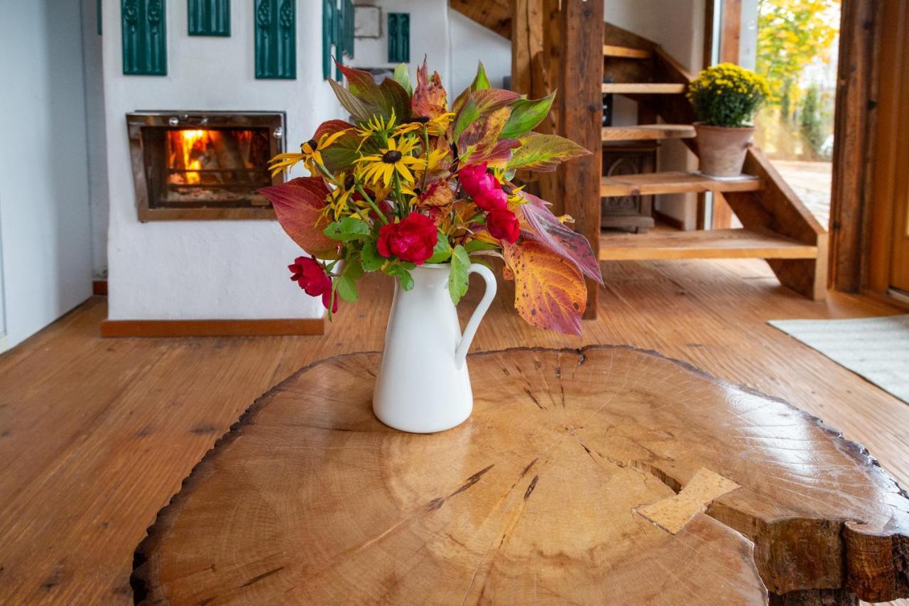 Casele Cu Stuf B&B Haus Ulrike Salicea Экстерьер фото