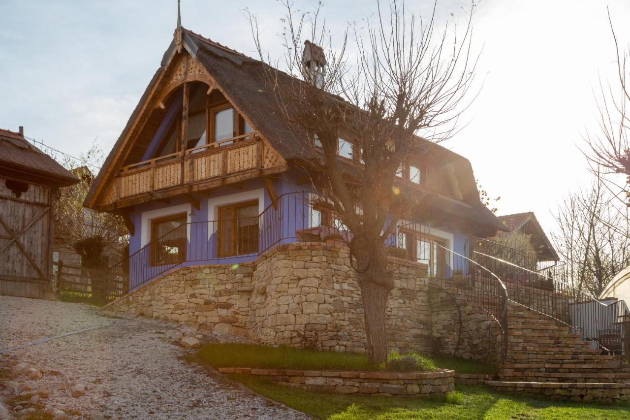 Casele Cu Stuf B&B Haus Ulrike Salicea Экстерьер фото