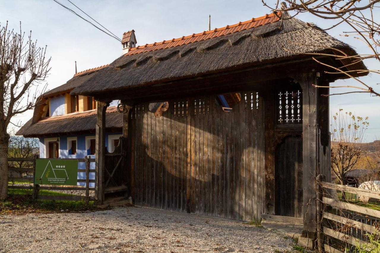 Casele Cu Stuf B&B Haus Ulrike Salicea Экстерьер фото
