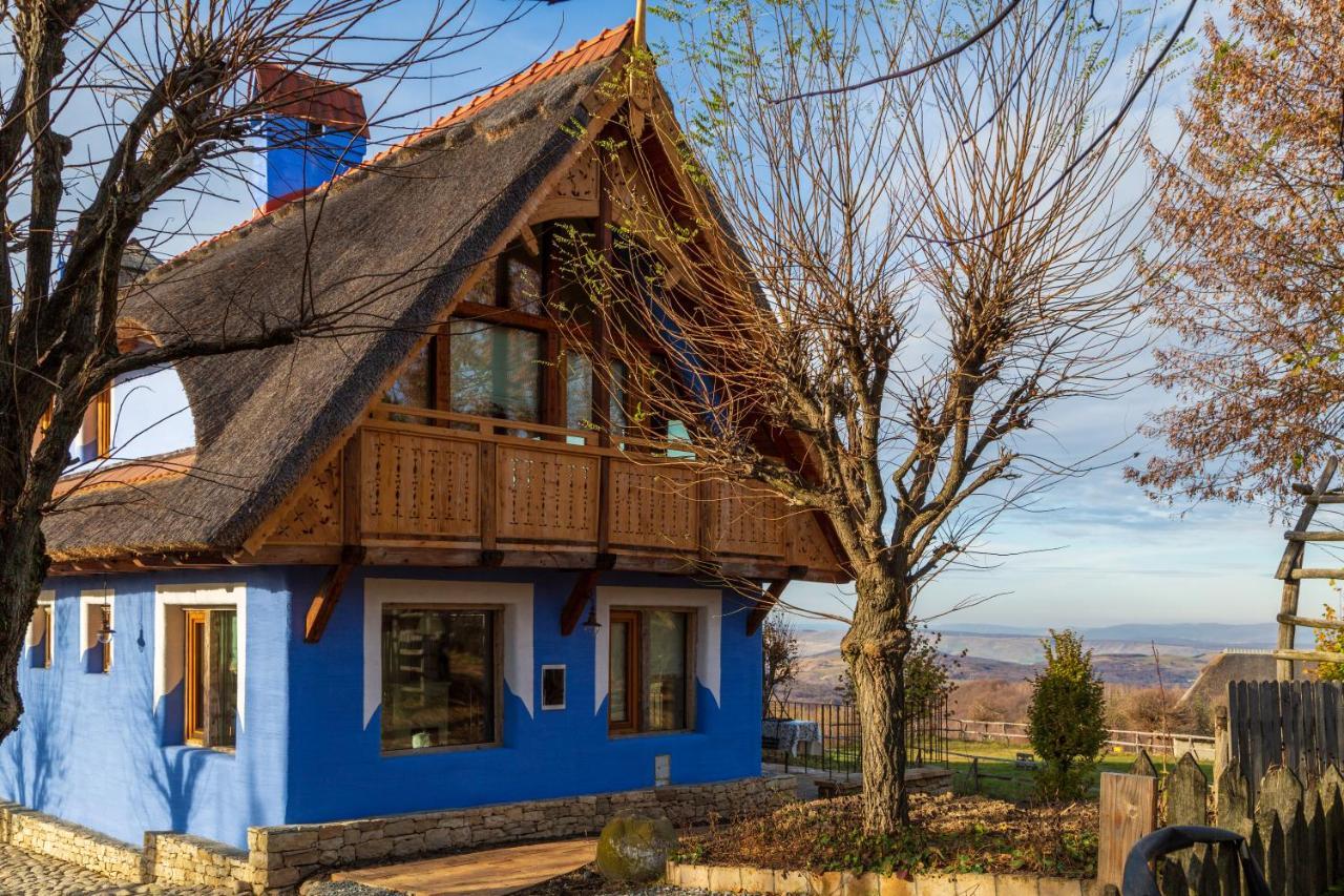 Casele Cu Stuf B&B Haus Ulrike Salicea Экстерьер фото