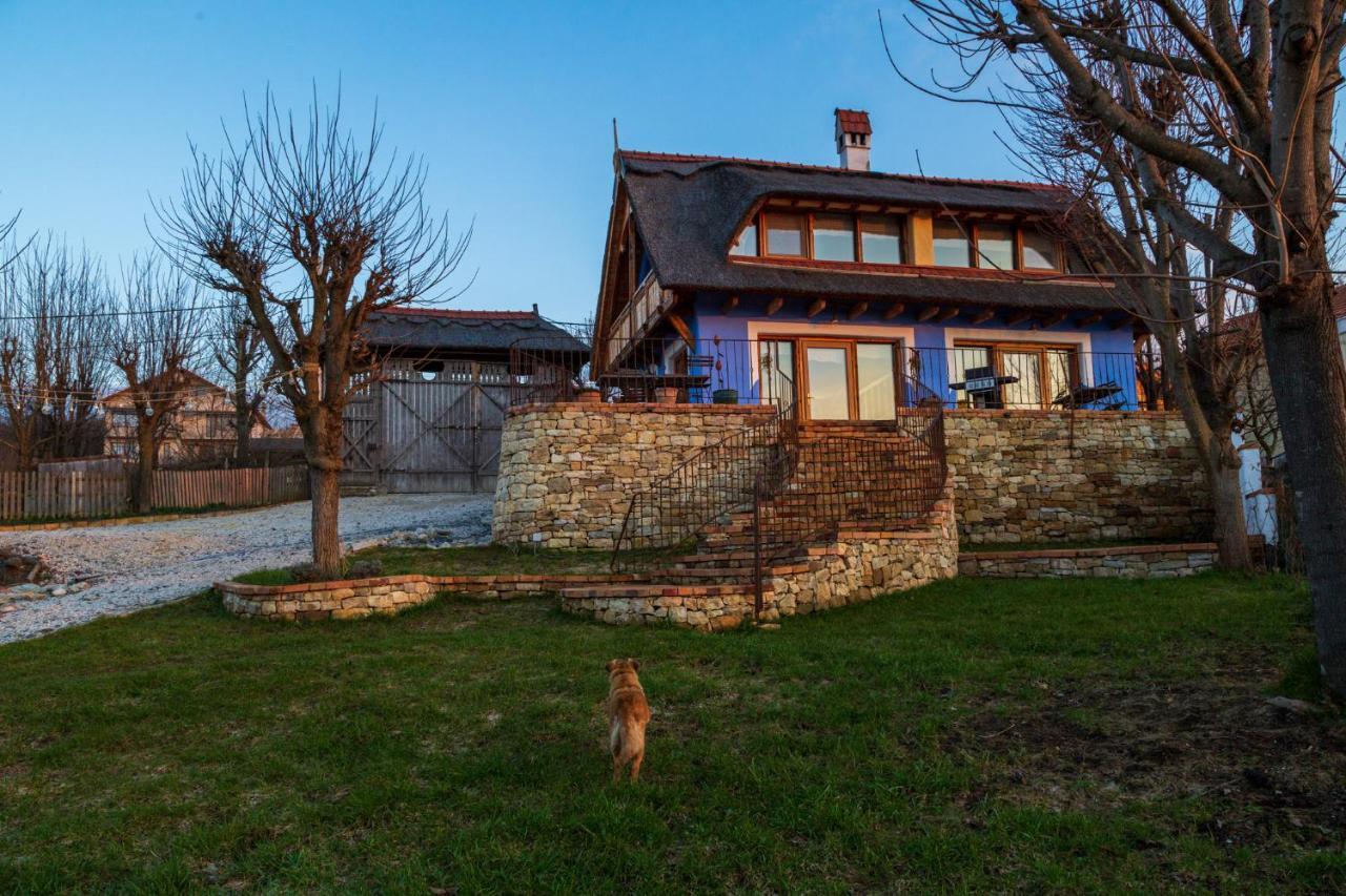 Casele Cu Stuf B&B Haus Ulrike Salicea Экстерьер фото