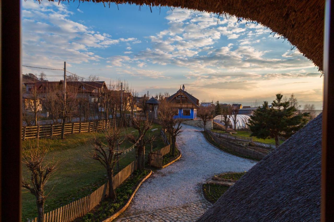 Casele Cu Stuf B&B Haus Ulrike Salicea Экстерьер фото
