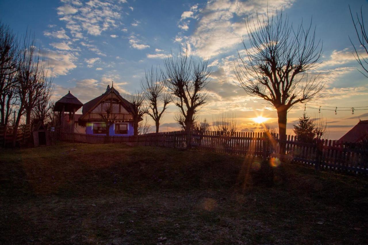 Casele Cu Stuf B&B Haus Ulrike Salicea Экстерьер фото