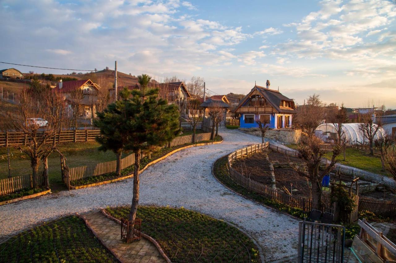 Casele Cu Stuf B&B Haus Ulrike Salicea Экстерьер фото