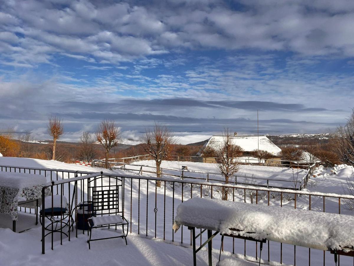 Casele Cu Stuf B&B Haus Ulrike Salicea Экстерьер фото