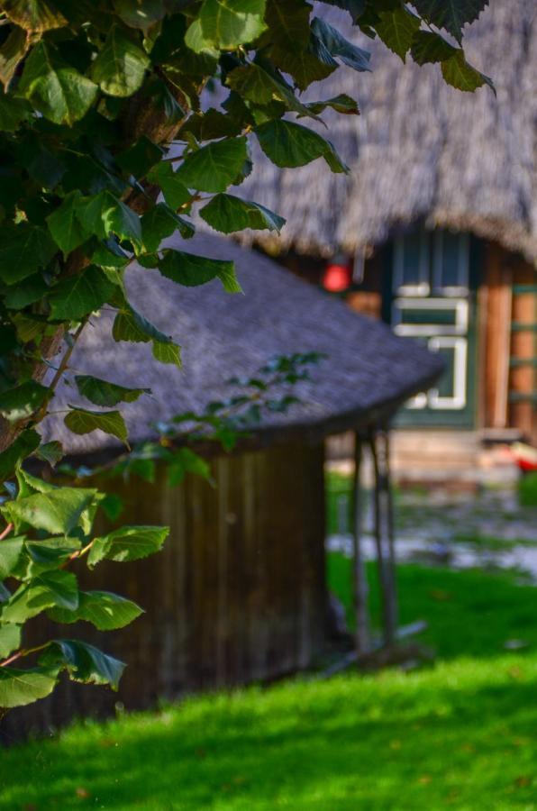Casele Cu Stuf B&B Haus Ulrike Salicea Экстерьер фото