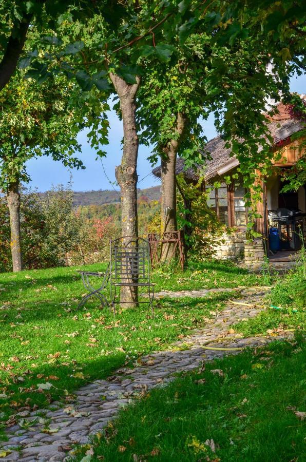Casele Cu Stuf B&B Haus Ulrike Salicea Экстерьер фото