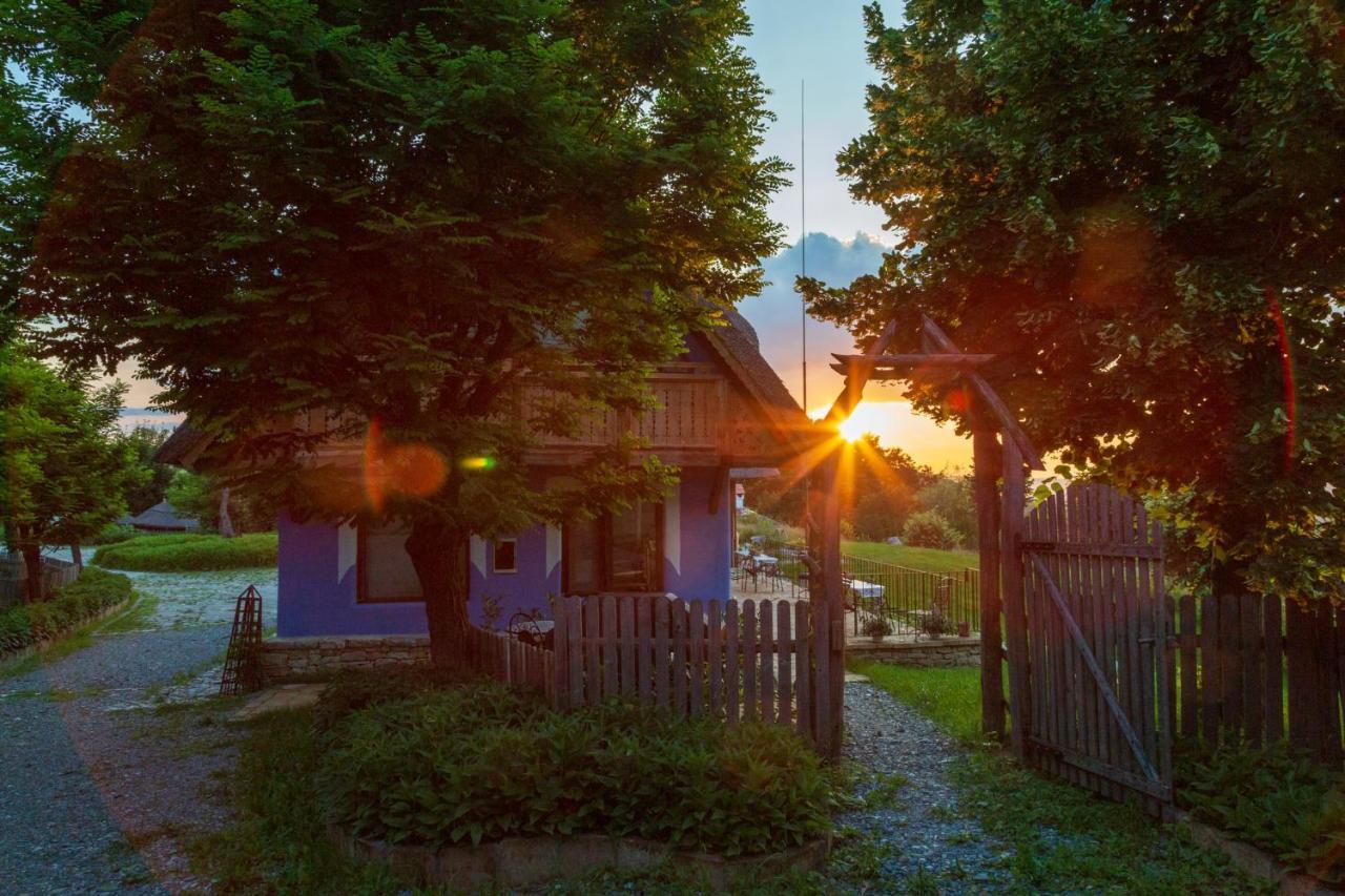 Casele Cu Stuf B&B Haus Ulrike Salicea Экстерьер фото