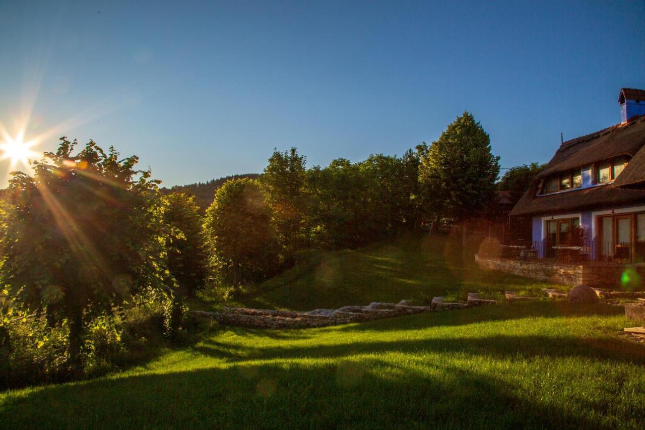 Casele Cu Stuf B&B Haus Ulrike Salicea Экстерьер фото
